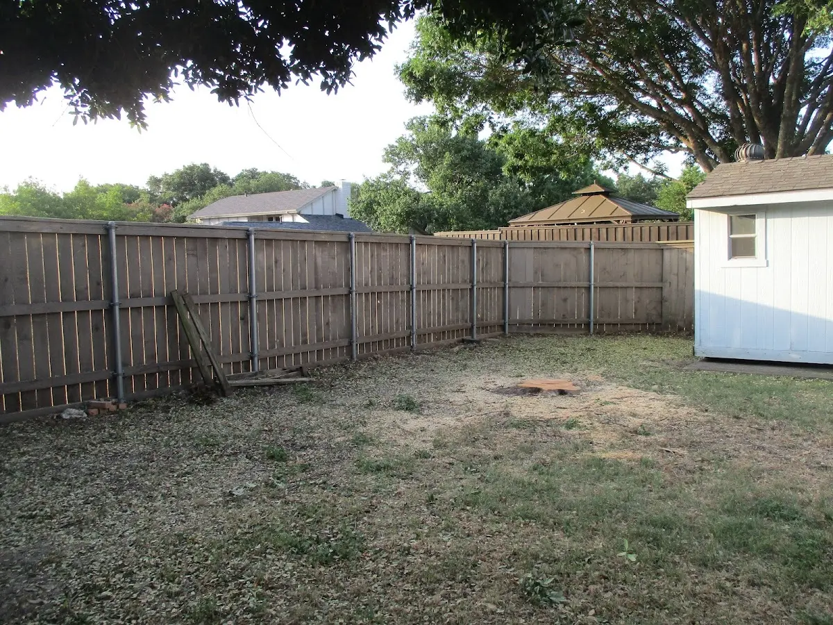 Cleared yard after professional tree removal in North Kingstown