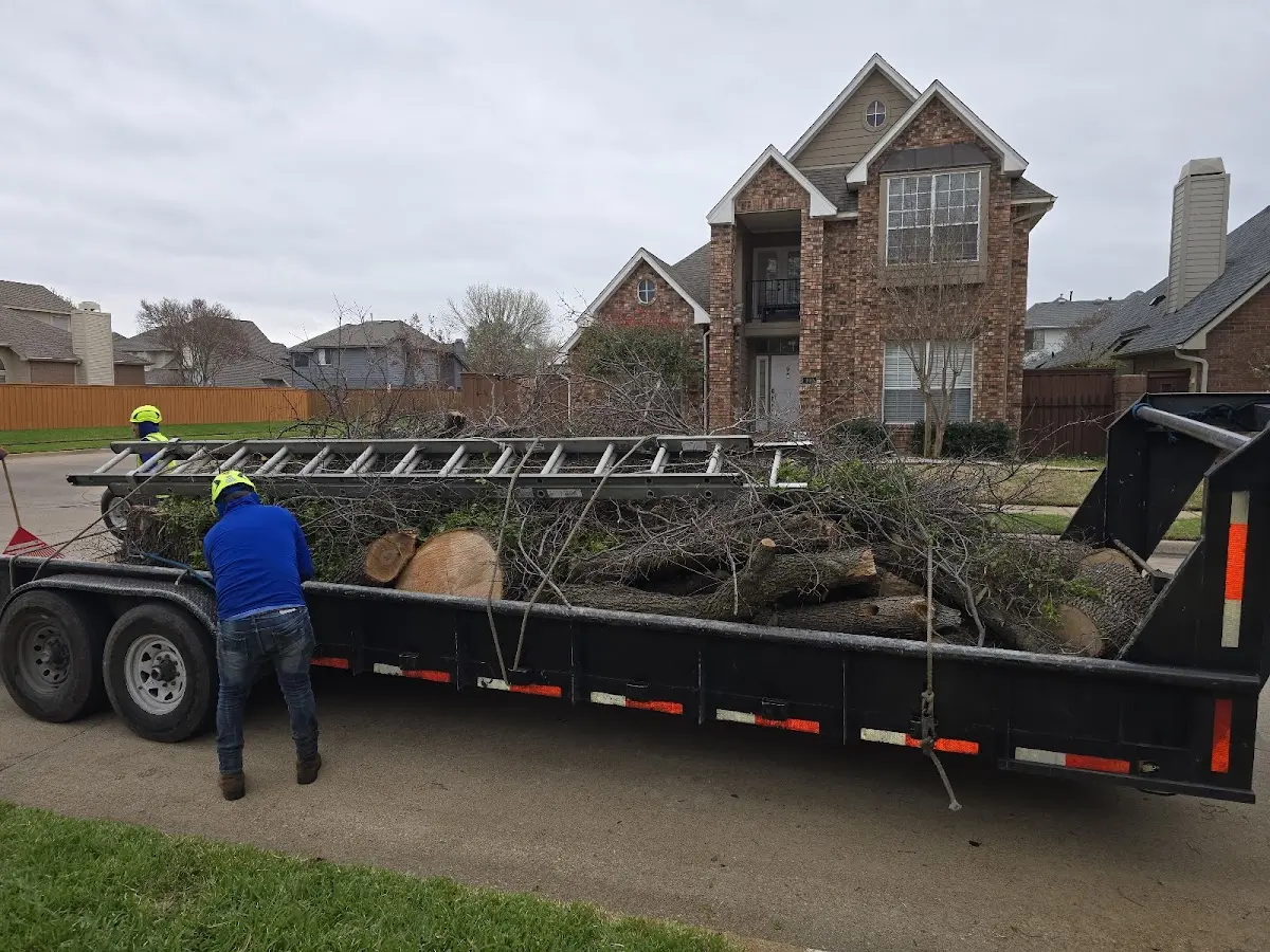 Expert Tree Fertilization with proper safety equipment in North Kingstown